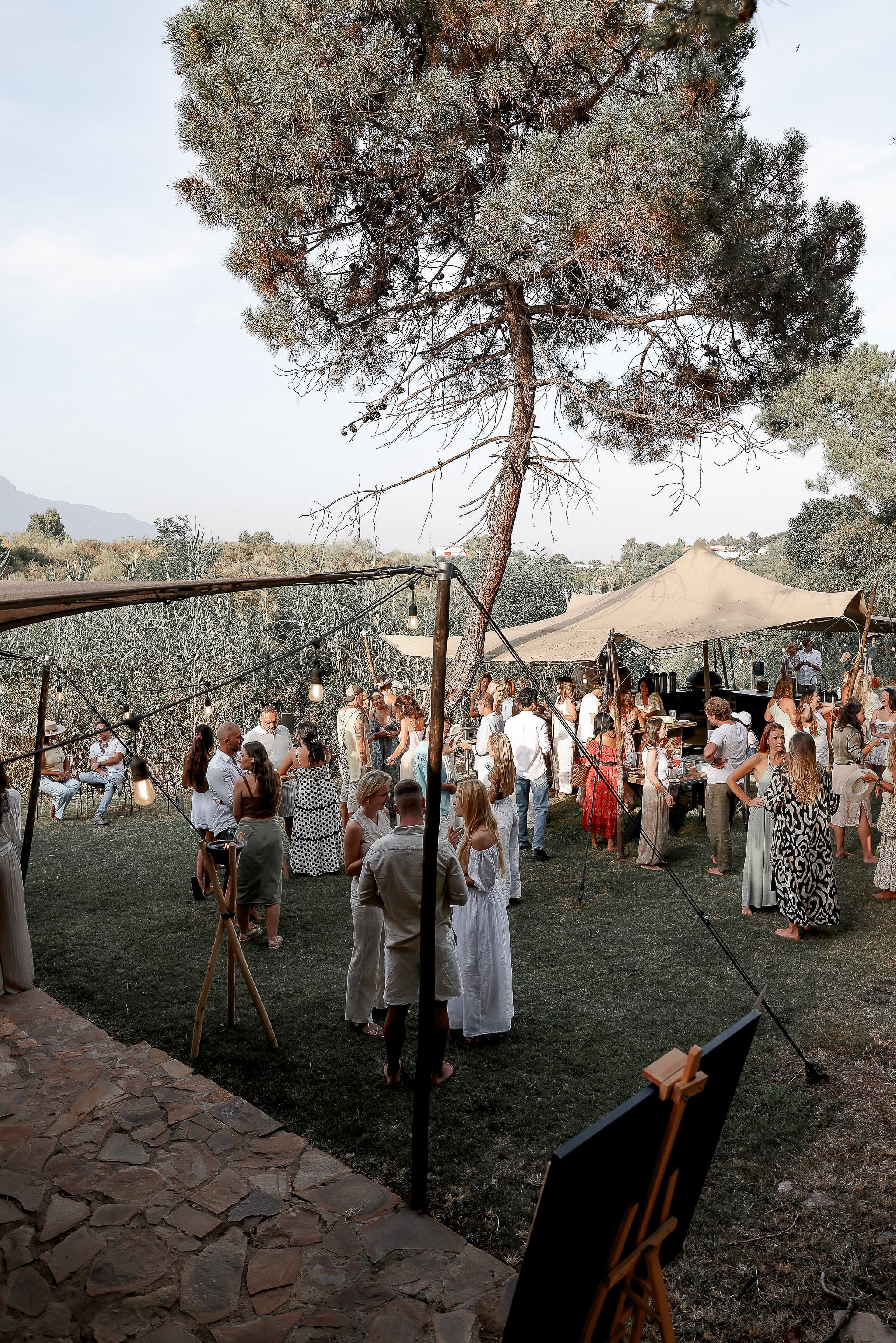 The setting: pine trees, canopies and the wall standing outdoors.